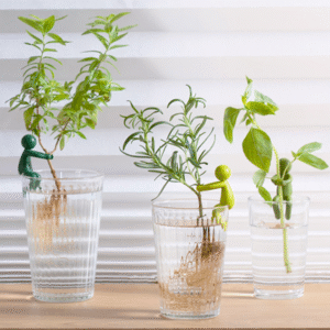 Držalo za rastline - Leafriend, SET 3 - Pripomoček za ukoreninjanje